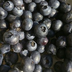 Full frame shot of grapes
