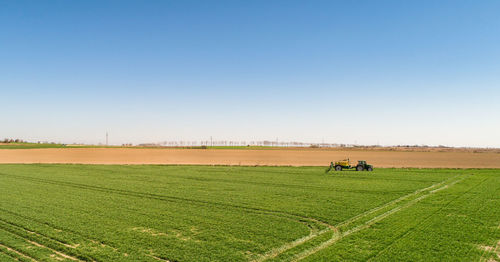 Scenic view of agricultural field against clear sky