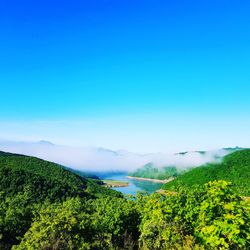 Scenic view of landscape against blue sky