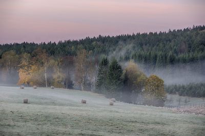 Scenic view of landscape