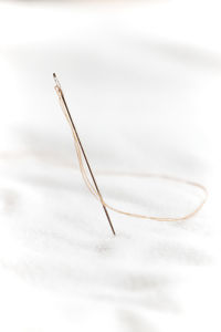 Close-up of feather against white background