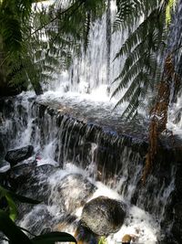 Scenic view of waterfall in forest