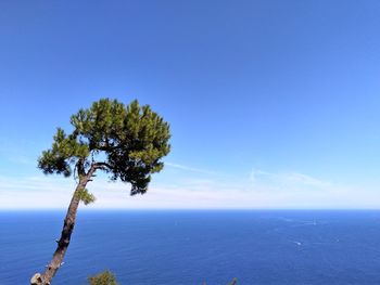 Scenic view of sea against blue sky