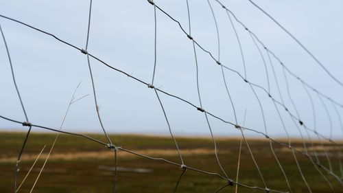 Close-up of fence on field against sky