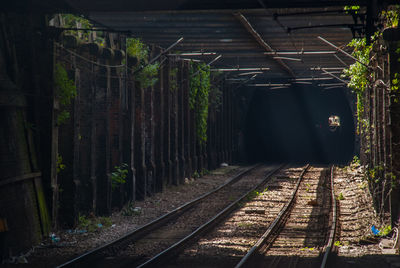 Railroad tracks in forest