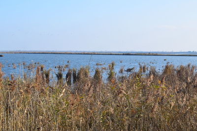 Scenic view of lake against sky