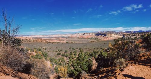 Scenic view of landscape against blue sky