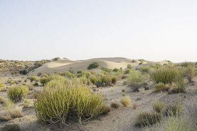 Scenic view of desert against clear sky