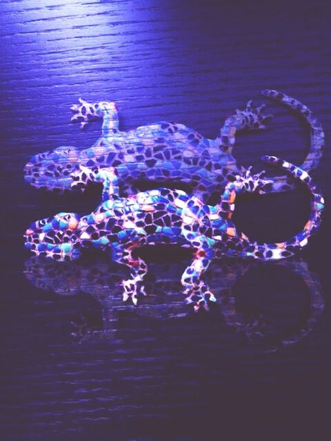 Gecko art