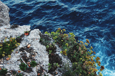 High angle view of rocks in sea