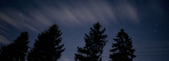 Low angle view of trees against sky at night