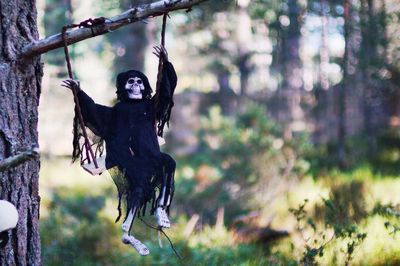 Creepy skeleton on a swing