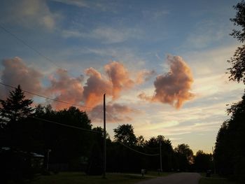 Silhouette of trees at sunset