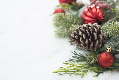 Close-up of pine cone on table