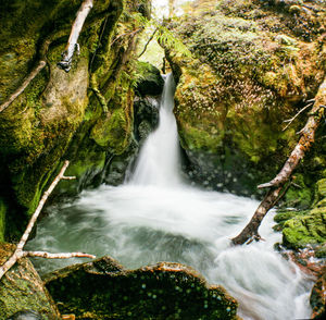 Scenic view of waterfall in forest