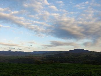 Scenic view of field against sky