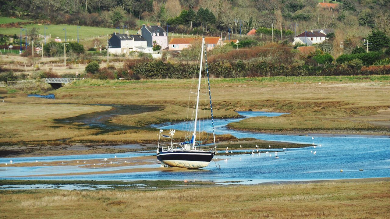 water, nautical vessel, tranquility, transportation, beach, grass, tranquil scene, boat, nature, sand, shore, tree, moored, mode of transport, beauty in nature, scenics, day, sea, outdoors, blue