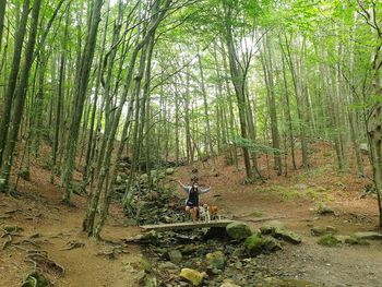 People walking on road amidst trees in forest