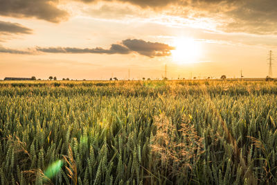 Scenic view of field against sky during sunset