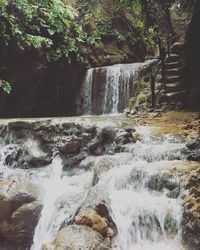 Scenic view of waterfall in forest