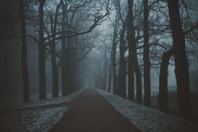 Road amidst bare trees in forest