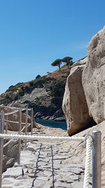 Seagull on rock against blue sky