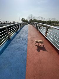 Zebra crossing on bridge against sky