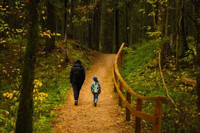 Rear view of people walking on dirt road amidst trees in forest