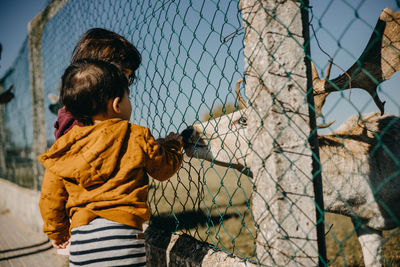 Rear view of boy looking through chainlink fence