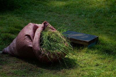 High angle view of bag of grass on field