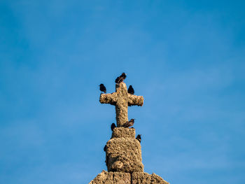 Low angle view of bird perching on a statue