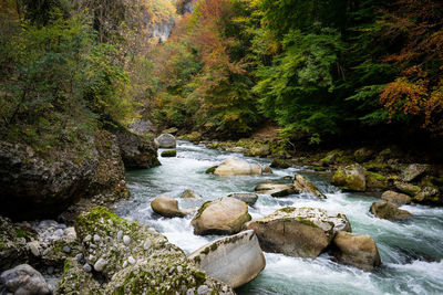 River flowing through rocks in forest