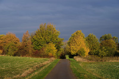 Trees growing on field against sky during autumn