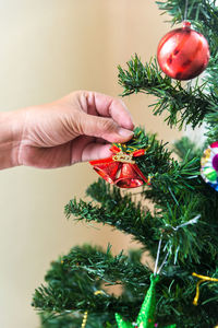 Close-up of hand holding christmas tree