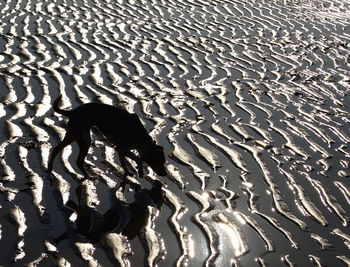 Full frame shot of sand