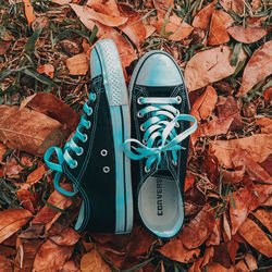 High angle view of shoes on dry leaves