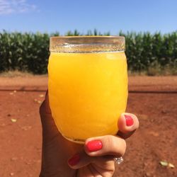 Cropped hand of woman holding glass with drink