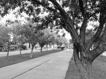 Road amidst trees against sky