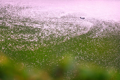 Full frame shot of water