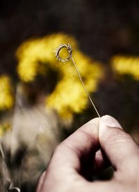 Close-up of hand holding leaf