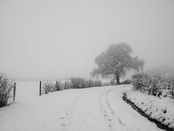 Snow covered landscape