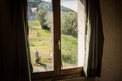 Trees seen through glass window