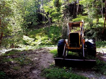 Abandoned car in forest