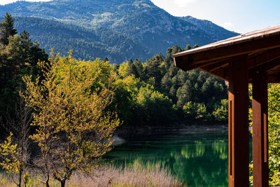 Scenic view of lake in forest