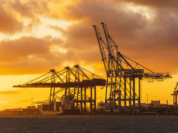 Shipping cranes at sunset