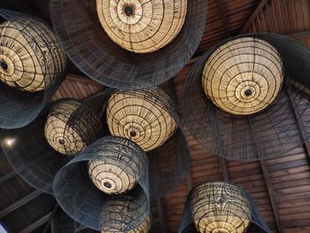 Low angle view of shells on ceiling