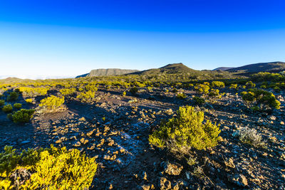 Scenic view of landscape against clear blue sky