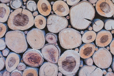 Full frame shot of logs in forest