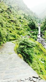 Scenic view of green landscape against sky