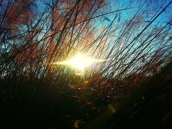 Sun shining through clouds